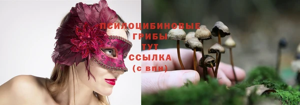 ешки Армянск