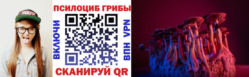 Купить где  Новая Ляля  Галлюциногенные грибы GOLDEN TEACHER 